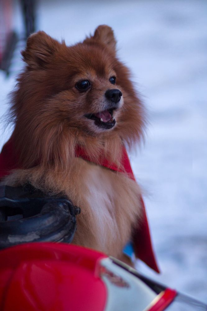 Photograph by Вероника Ларченко