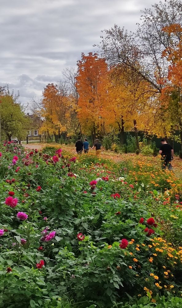 Photograph by Марина Артемьева