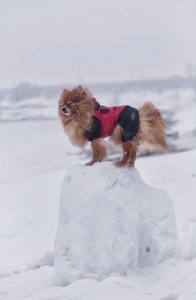 Photograph by Вероника Ларченко