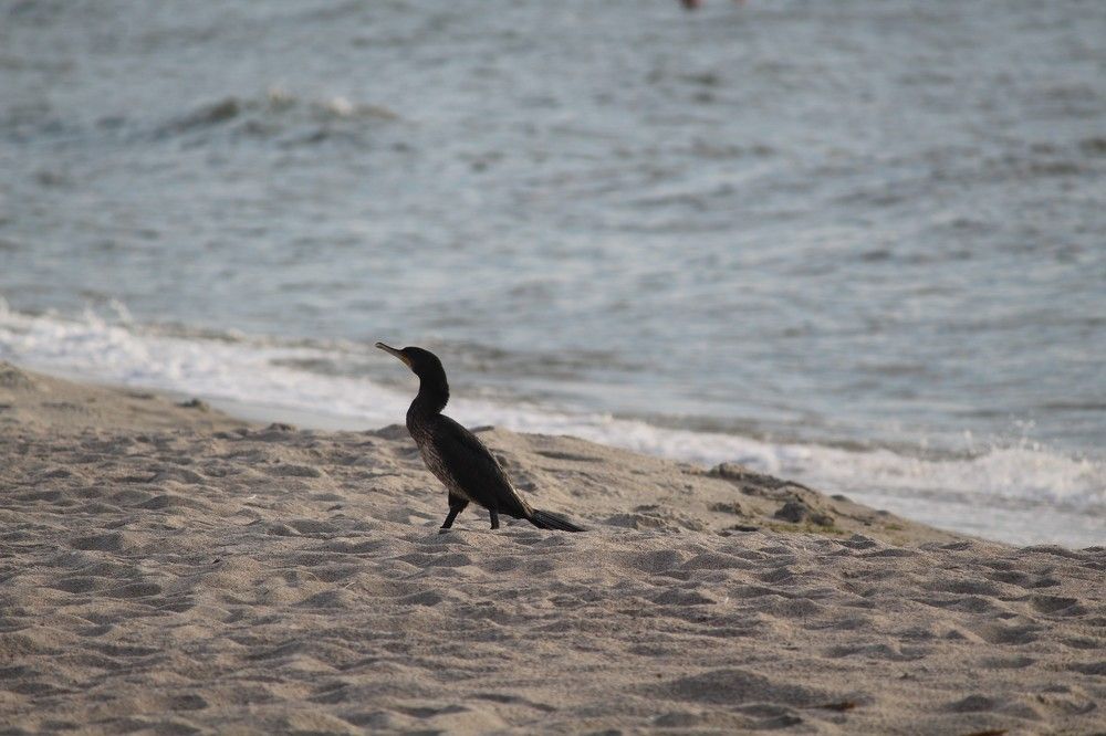 Photograph by Наталья Резванова