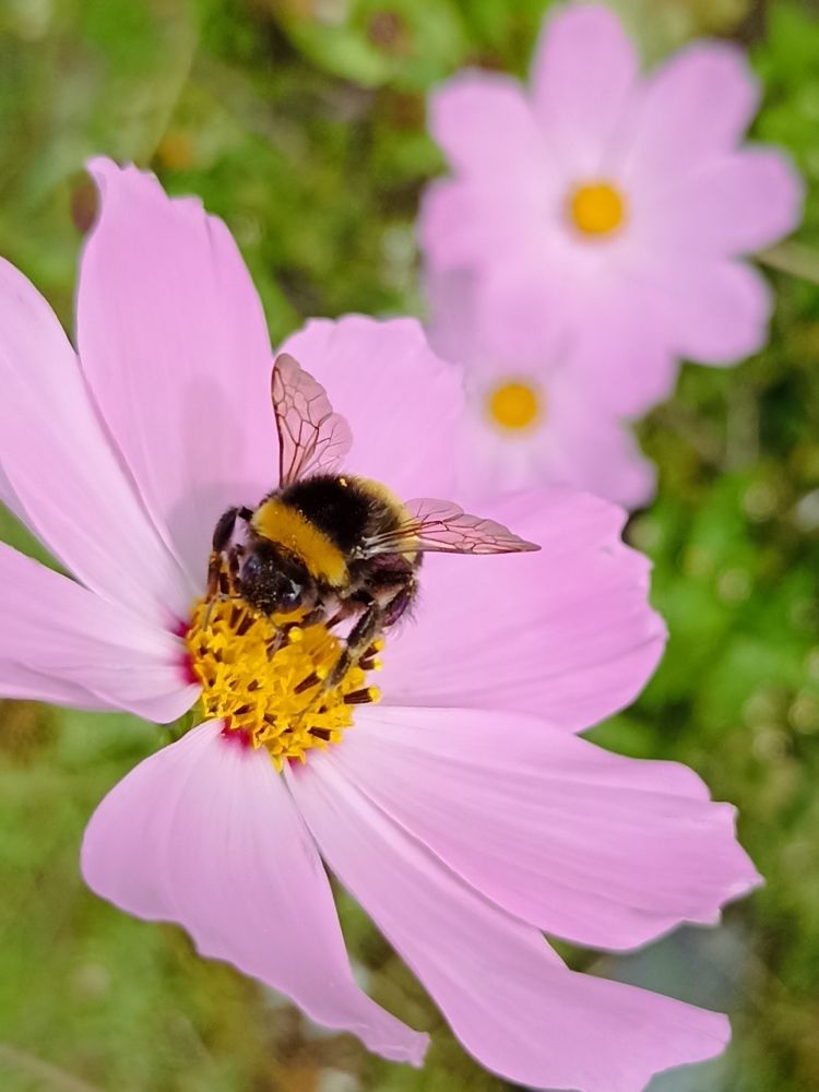 Photograph by Наталья Резванова