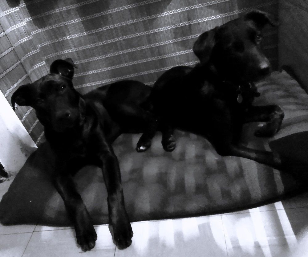 Photograph by José Luis Mendoza Machado