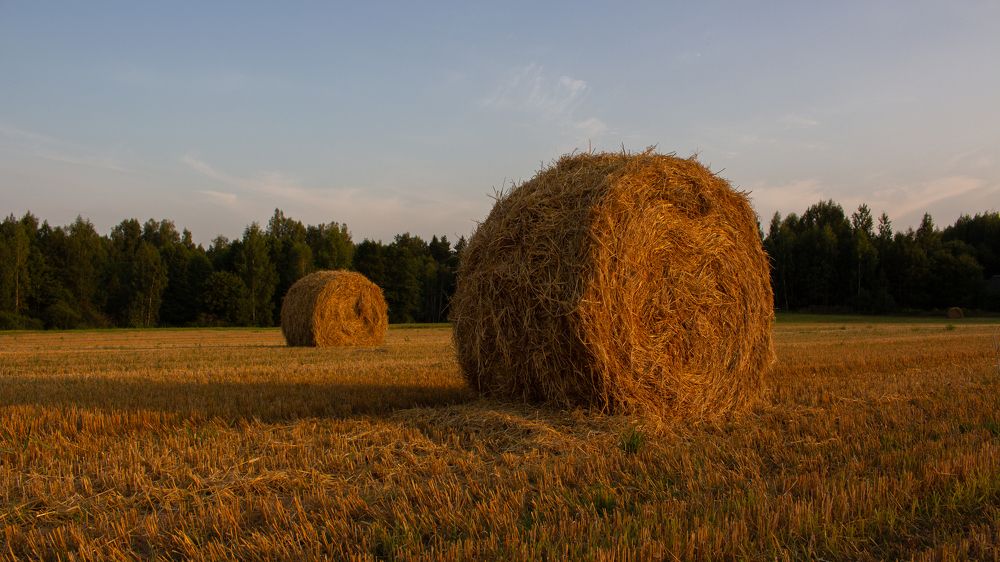 Photograph by Онейра Скриптор