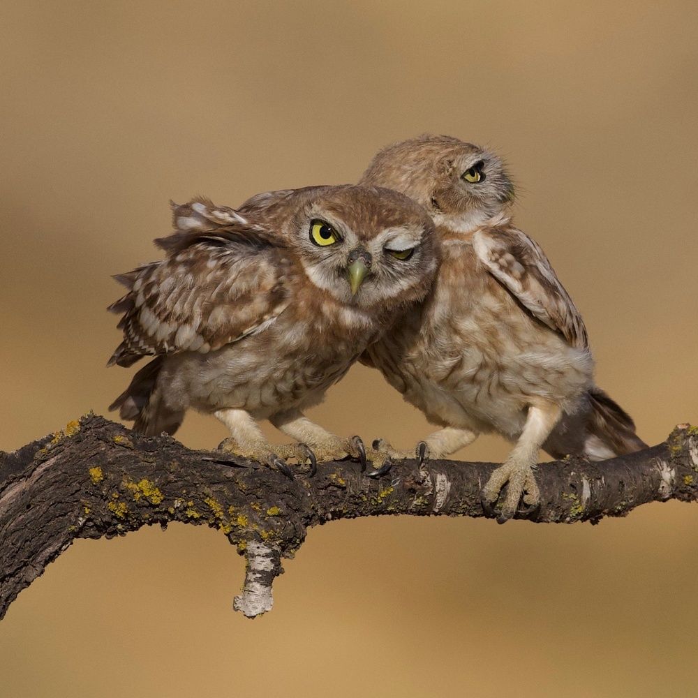 Photograph by David Manusevich