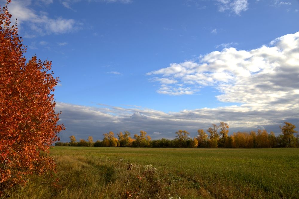 Photograph by ANDREY KISELYOV