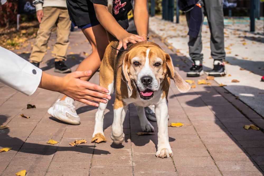 Photograph by Александра