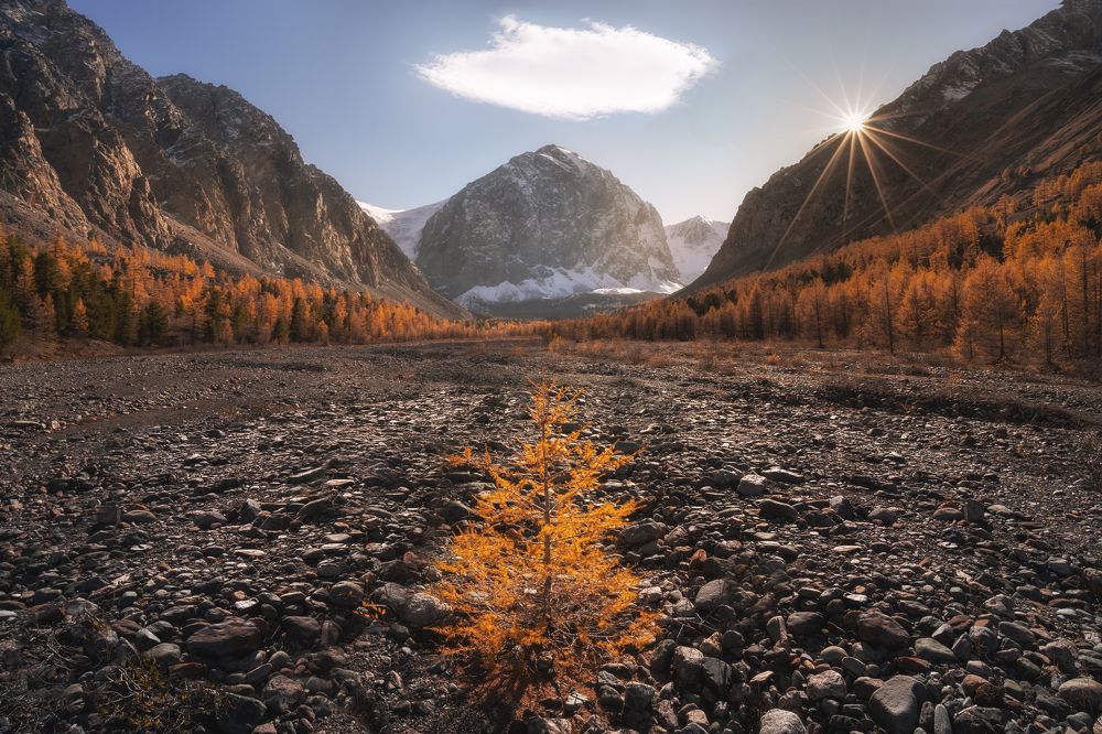 Photograph by Michael Kharitonychev