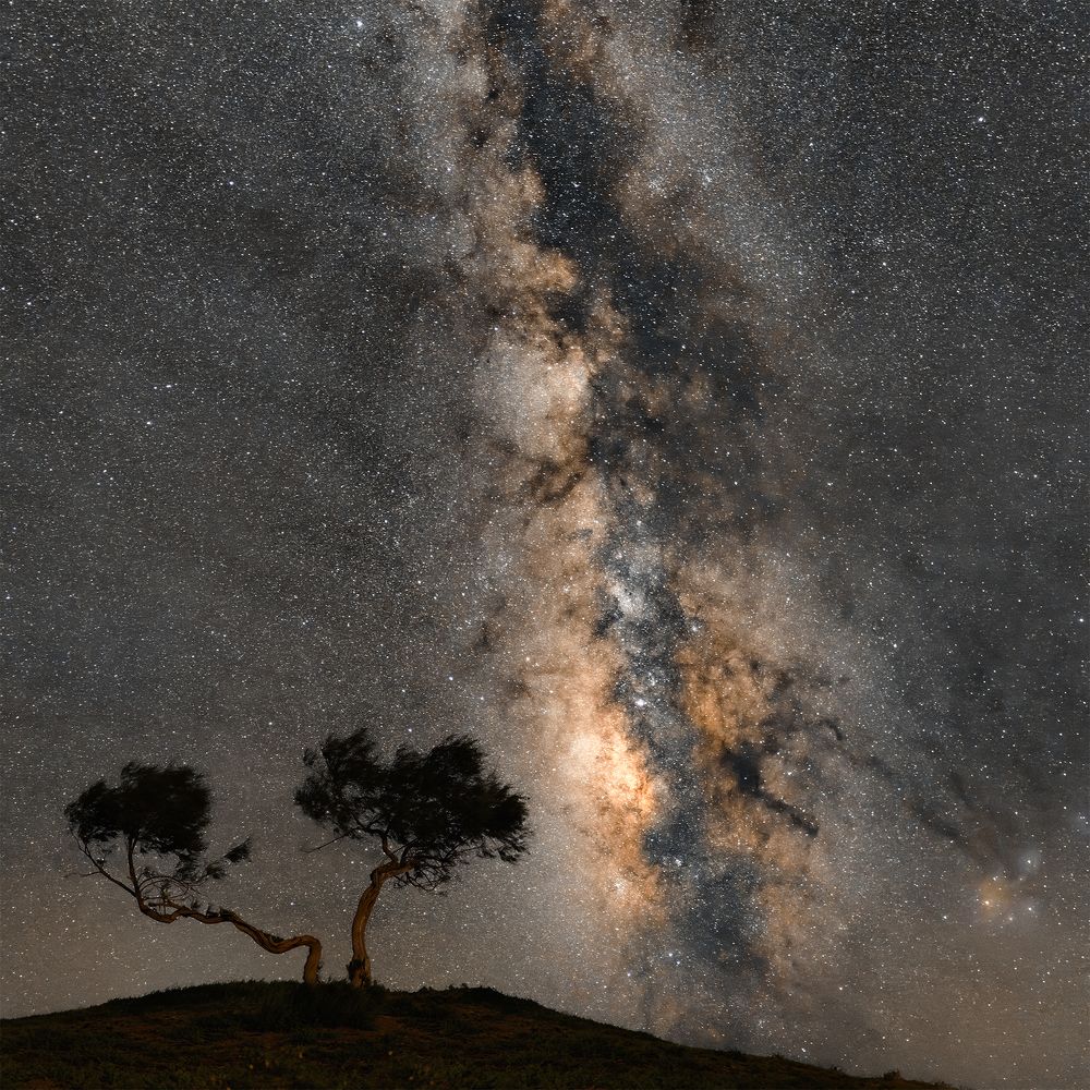 Photograph by Soheil Shahbazi