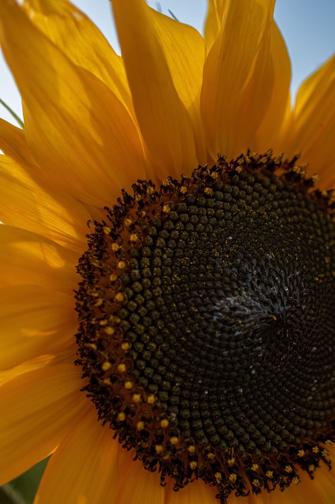 Photograph by Svetlana Jegorova