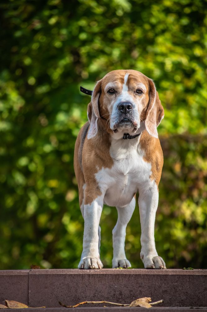 Photograph by Александра