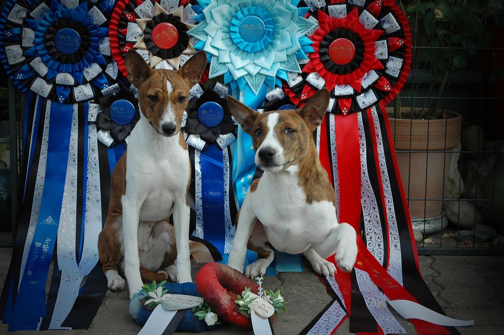 Photograph by Диана Ульянцева