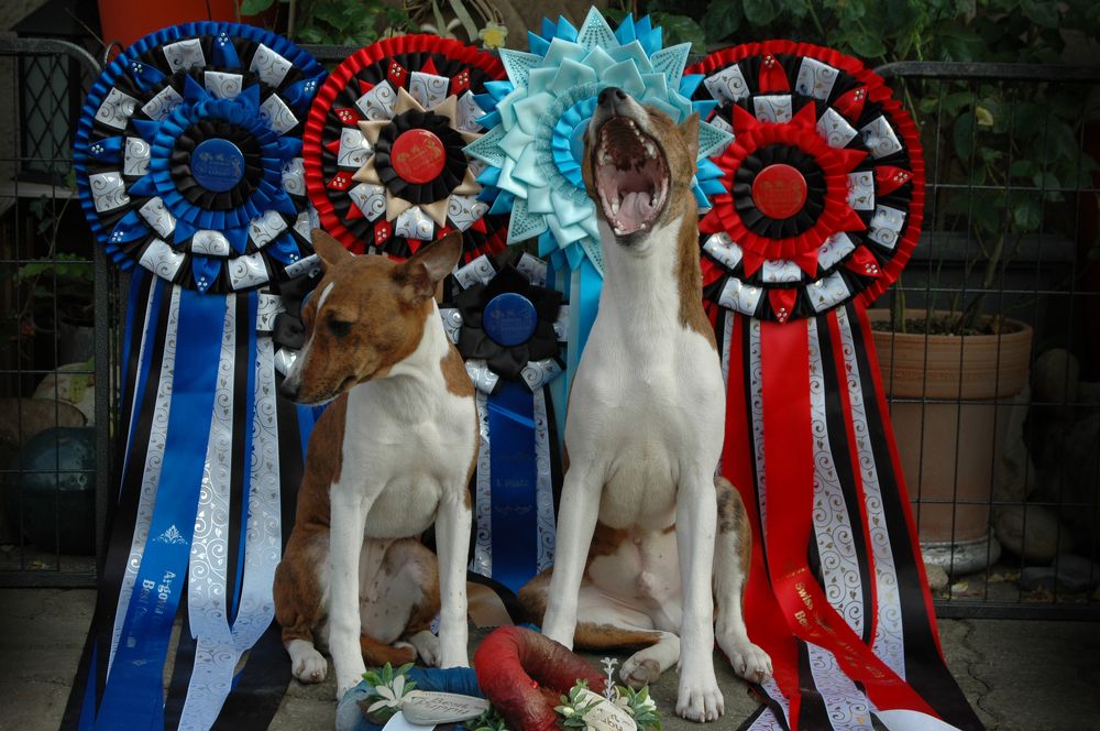 Photograph by Диана Ульянцева