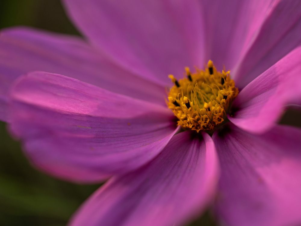 Photograph by Svetlana Jegorova