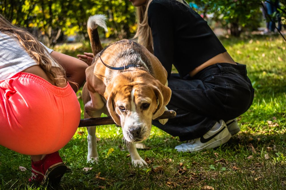 Photograph by Александра