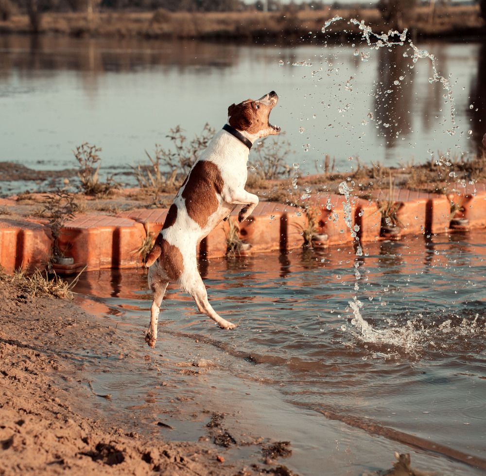 Photograph by Елена Черненкова