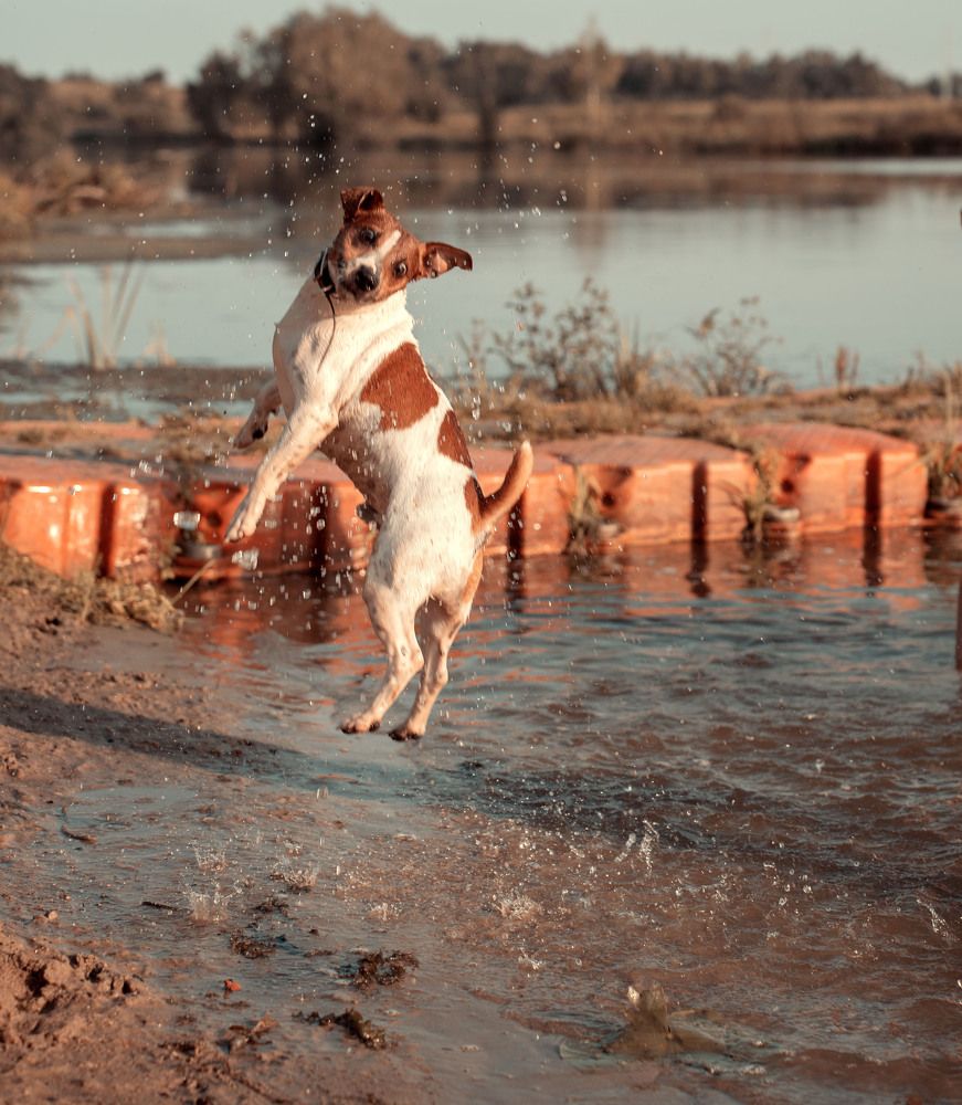 Photograph by Елена Черненкова