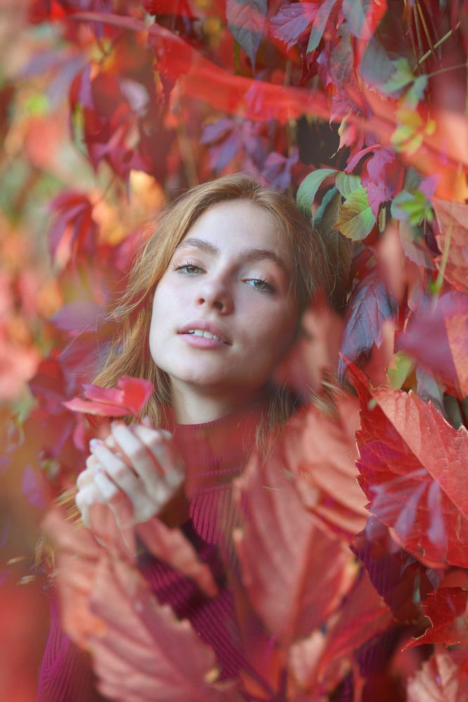 Photograph by Екатерина Стрельникова