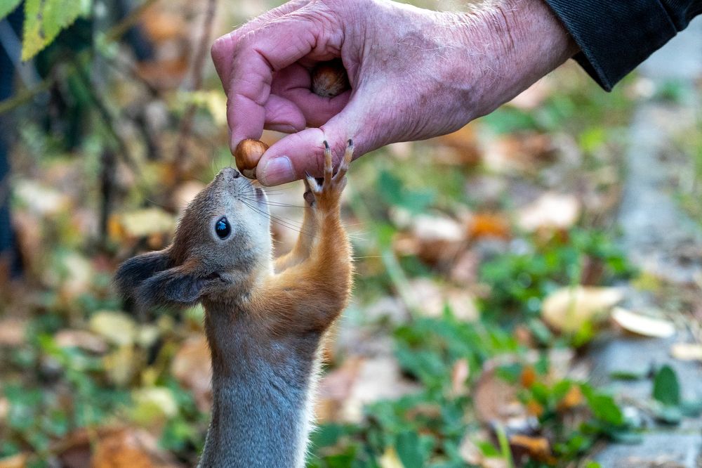 Photograph by Щепанов Дмитрий