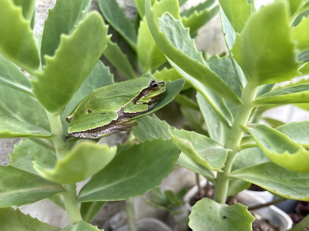 Photograph by Татьяна