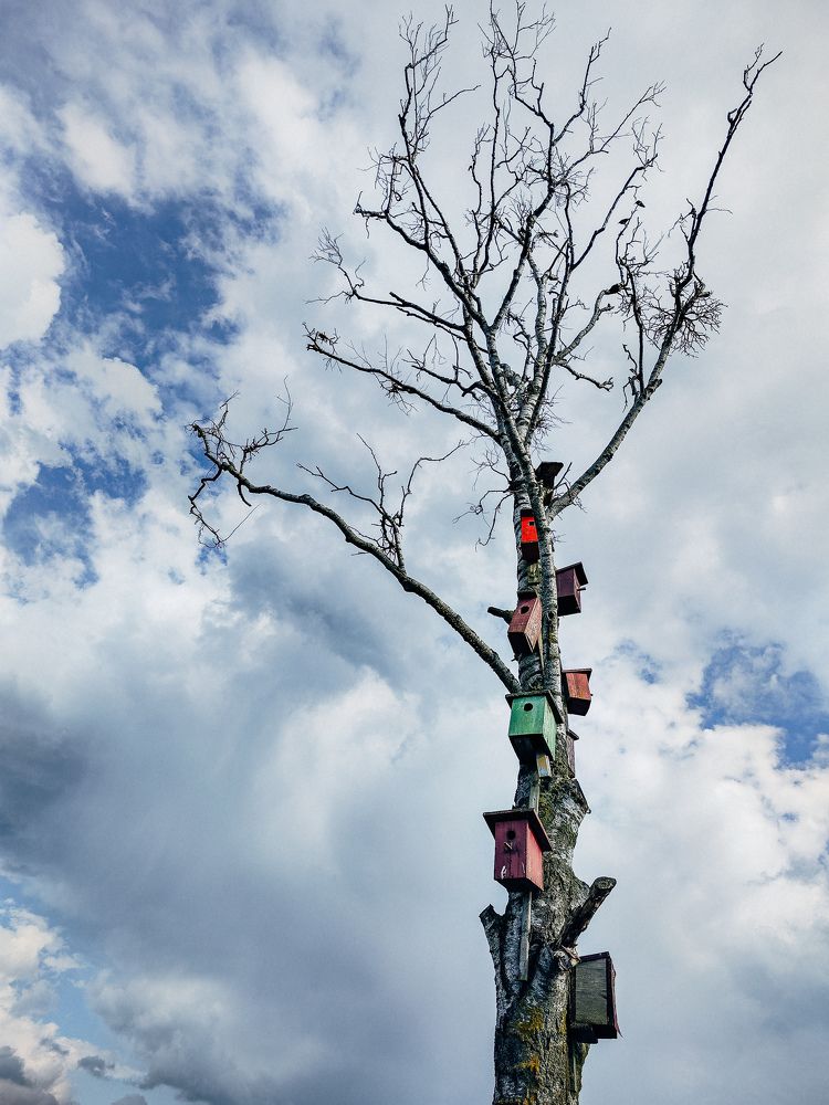 Фотография автора Татьяна Бычкова