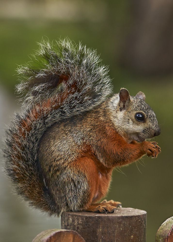 Photograph by Jose Vega