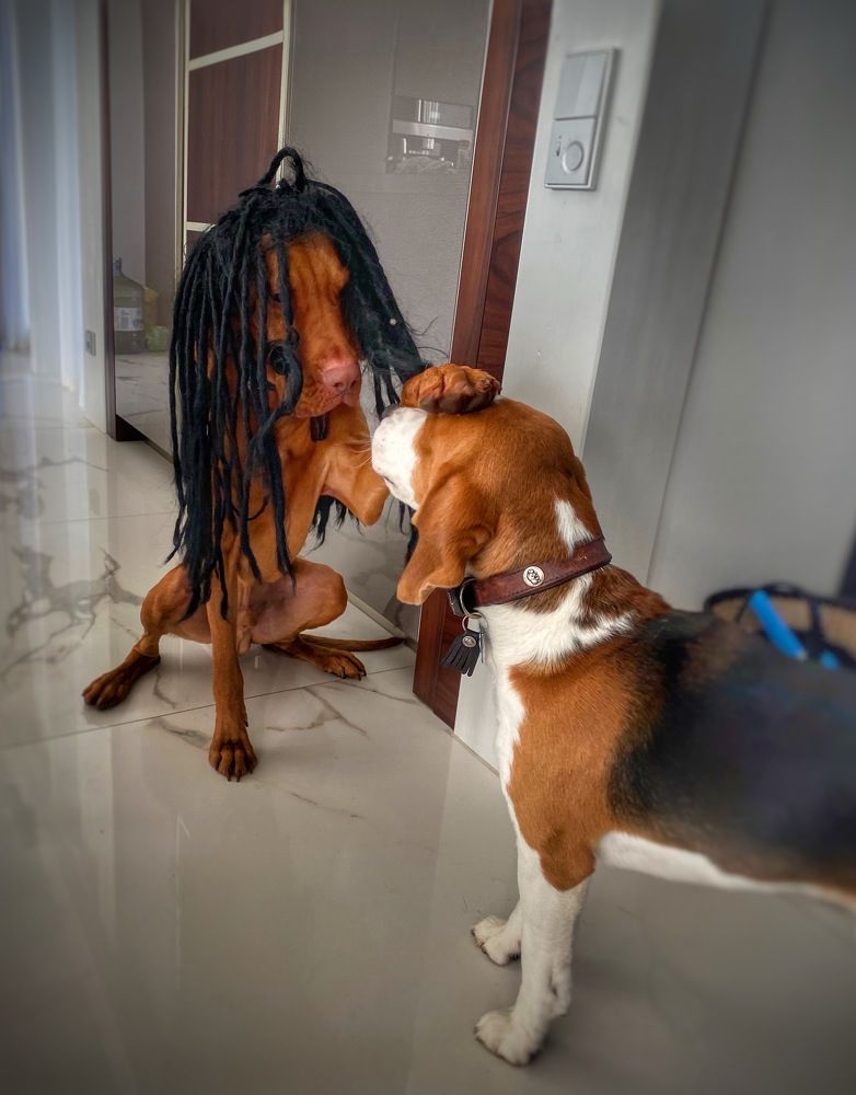 Фотография автора Olga Klyueva