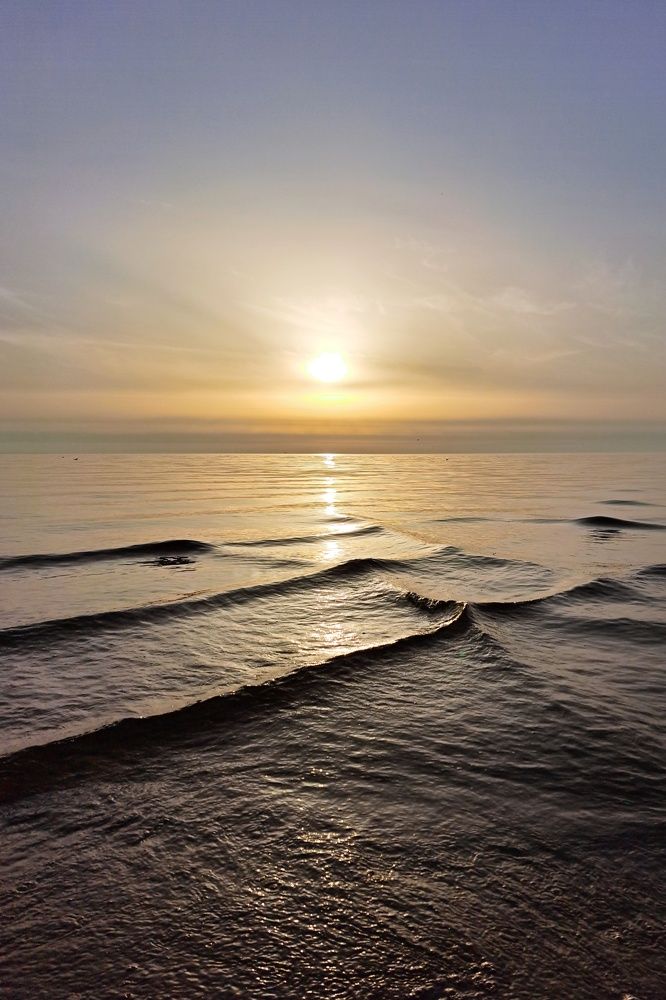 Photograph by Svetlana Jarbuse