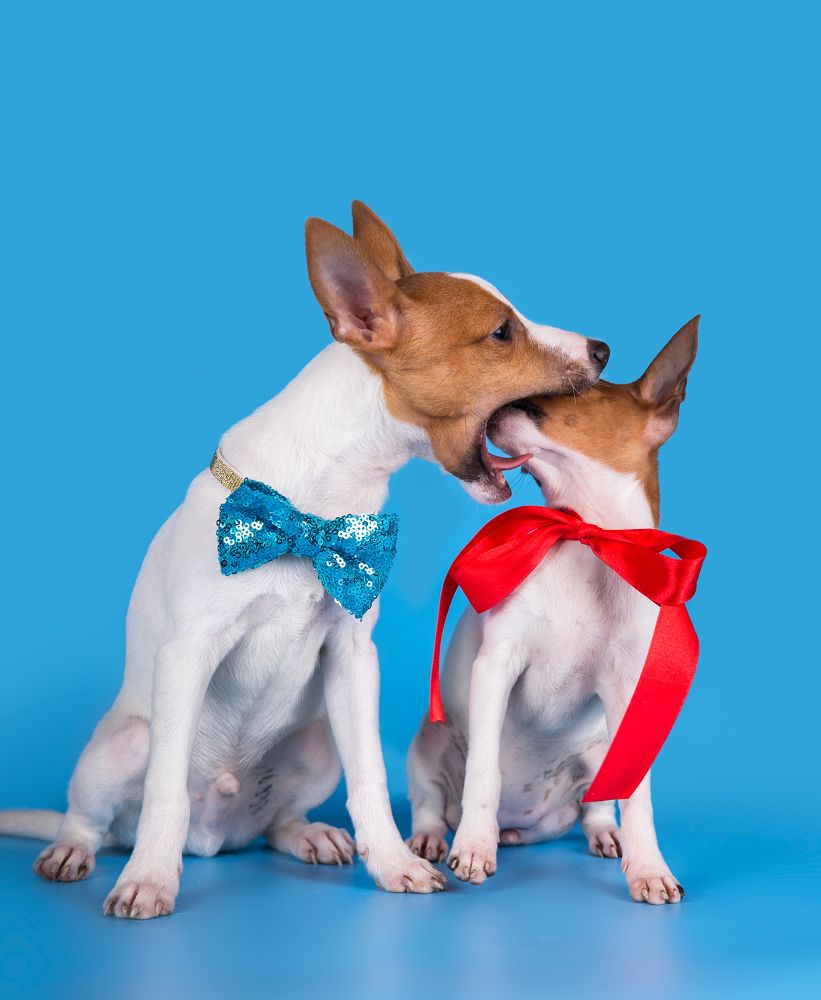 Photograph by Юлия Вербицкая