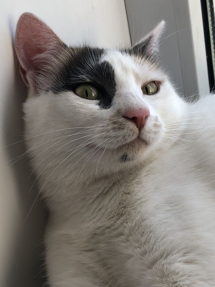 Photograph by Оксана