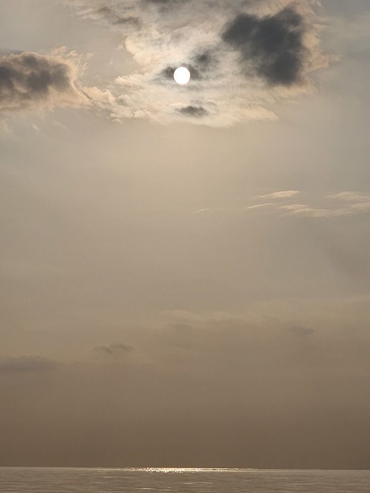 Photograph by Эдмунд Рандал