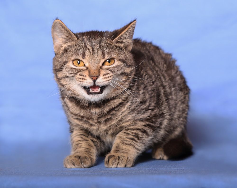 Photograph by Анастасия Рысь