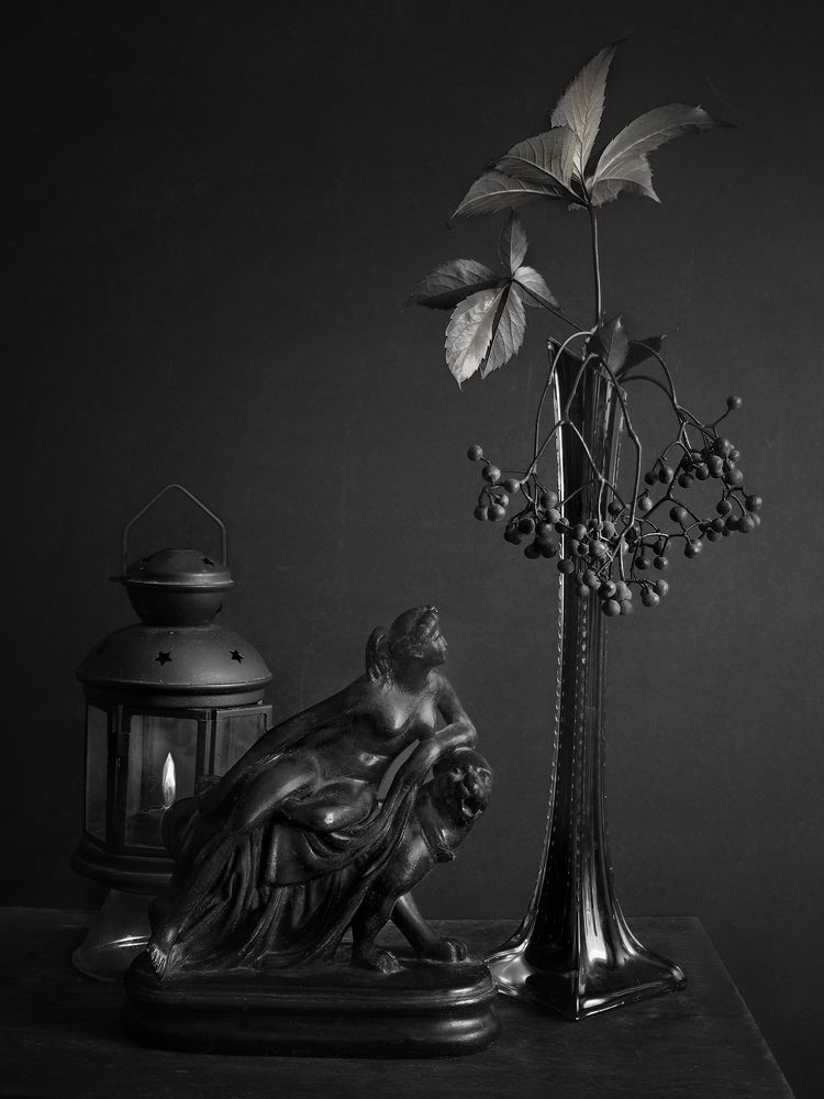 Фотография автора Vera Eremeeva