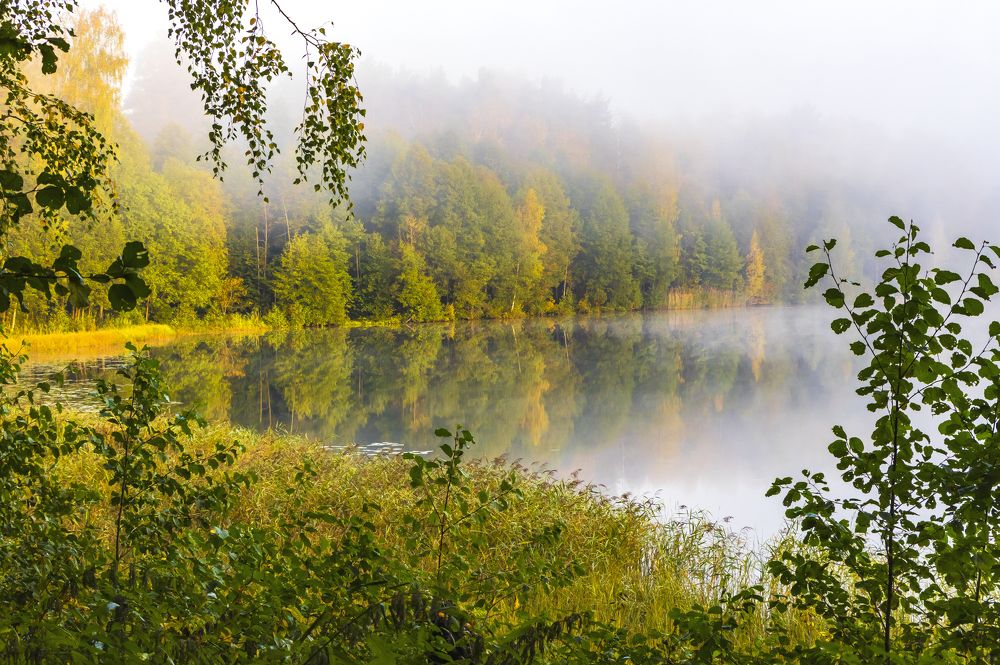 Photograph by галина новинская