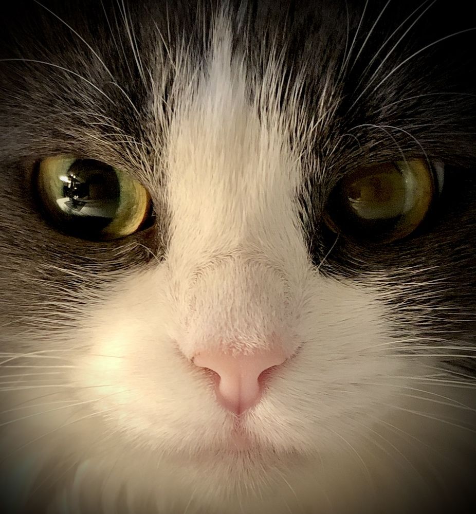 Photograph by Оксана