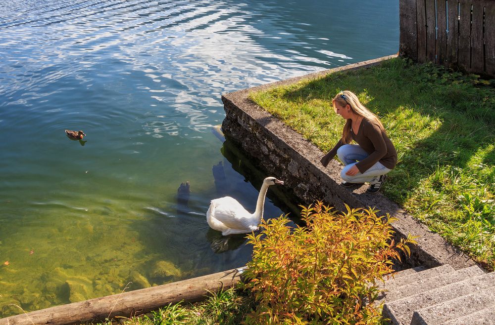 Ты зачем шипишь, как гусь? Я тебя боюсь.