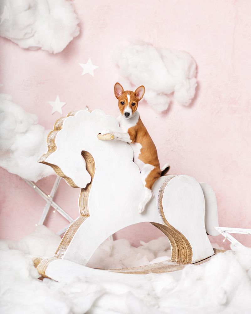 Photograph by Юлия Вербицкая