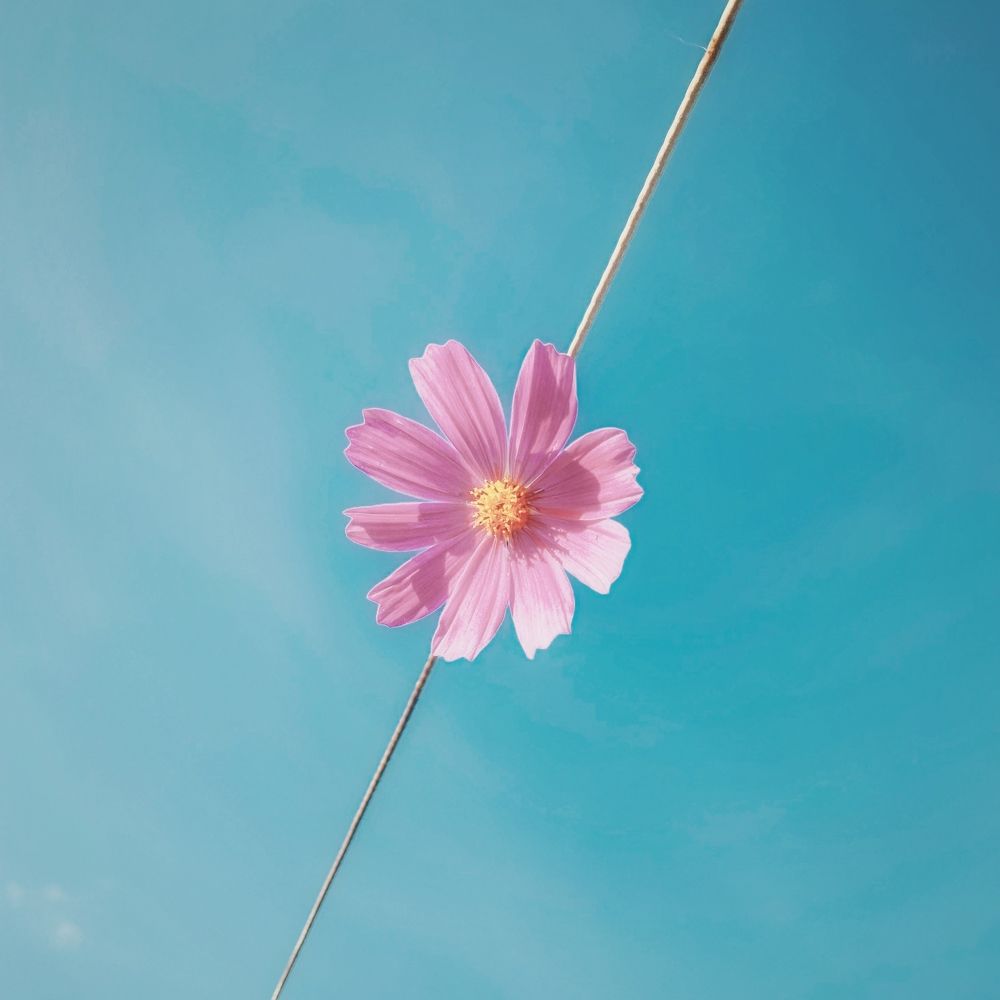 Photograph by Евгения Никишина