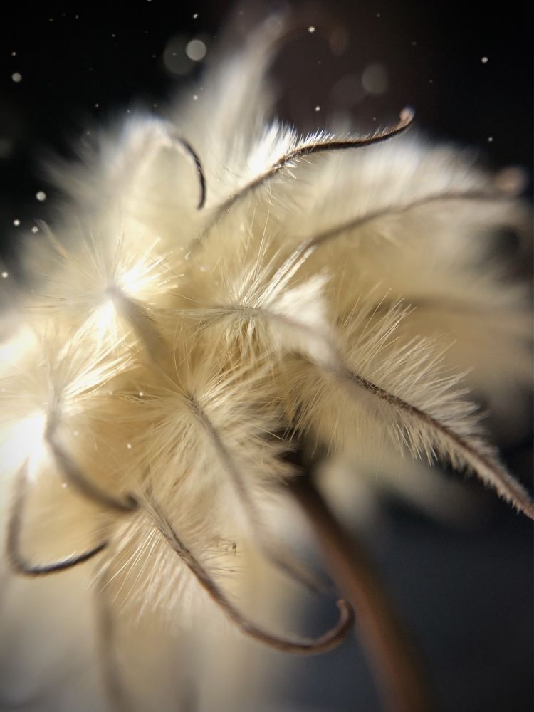 Photograph by Оксана