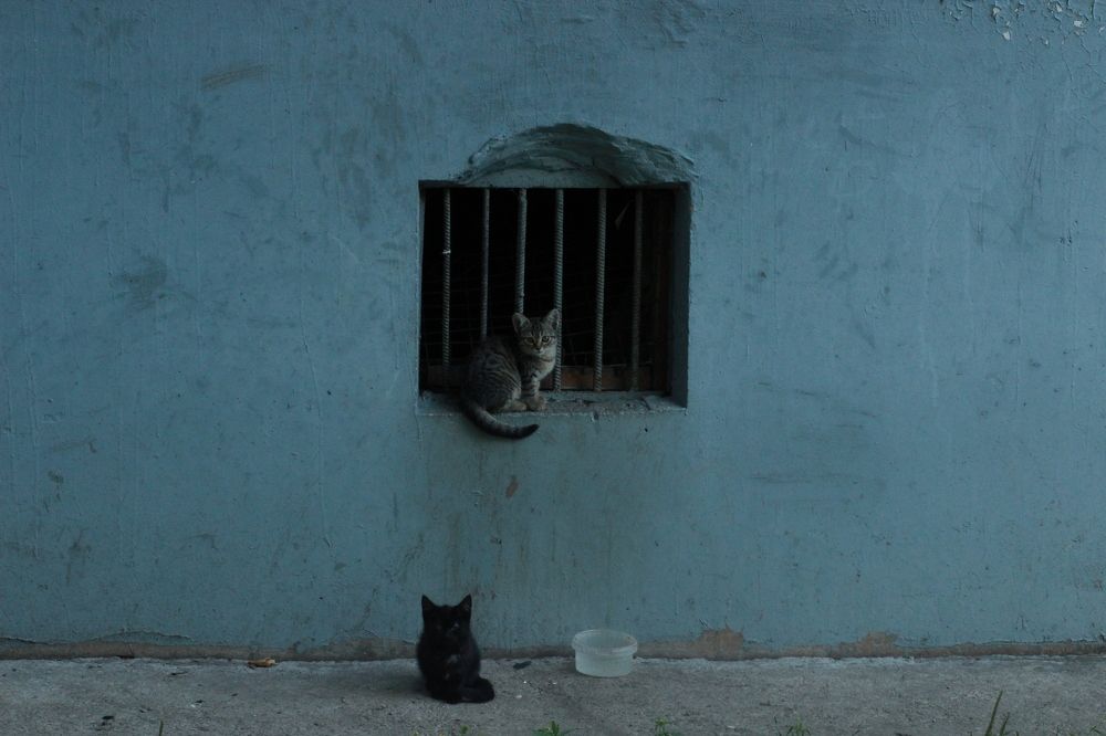 Photograph by Лилия Маяковски