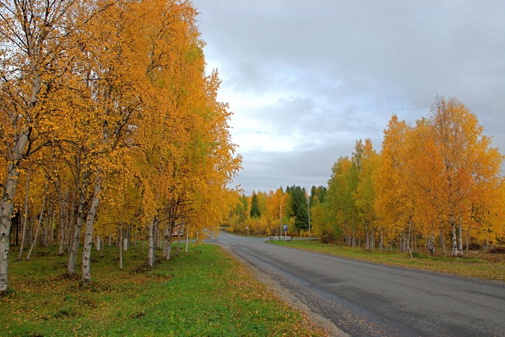 Photograph by Борис Чернов