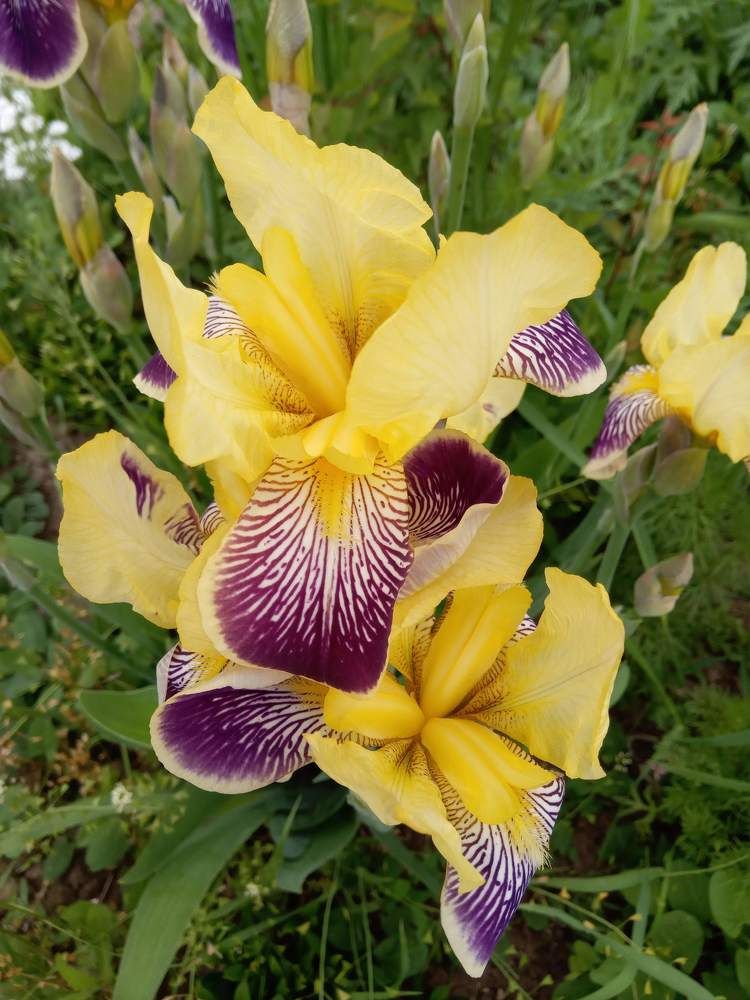 Photograph by Татьяна Пальчикова