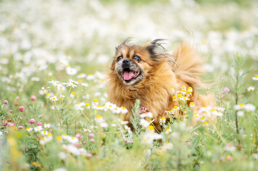 Photograph by Анна Тюрина