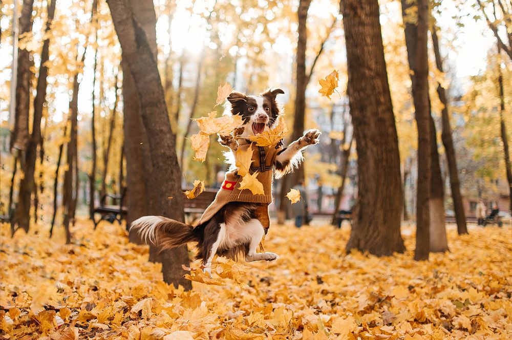 Photograph by Анна Тюрина