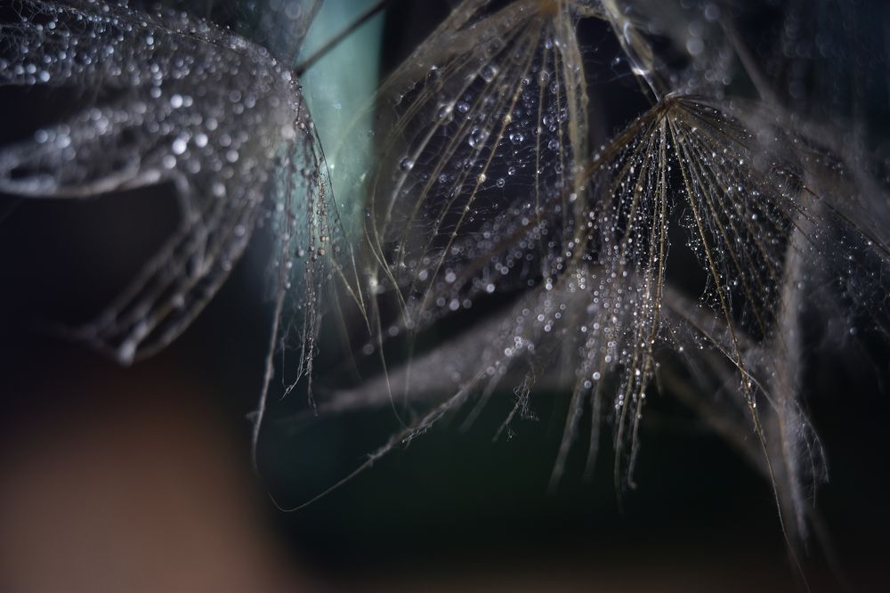 Фотография автора Ирина Шипунова