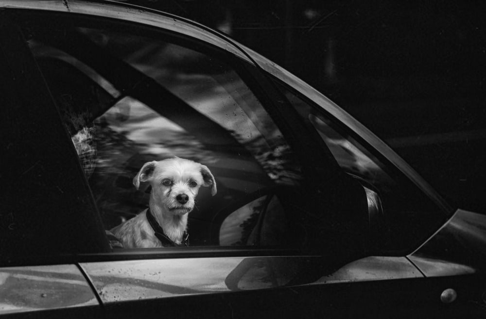 Photograph by Наталья Сотина