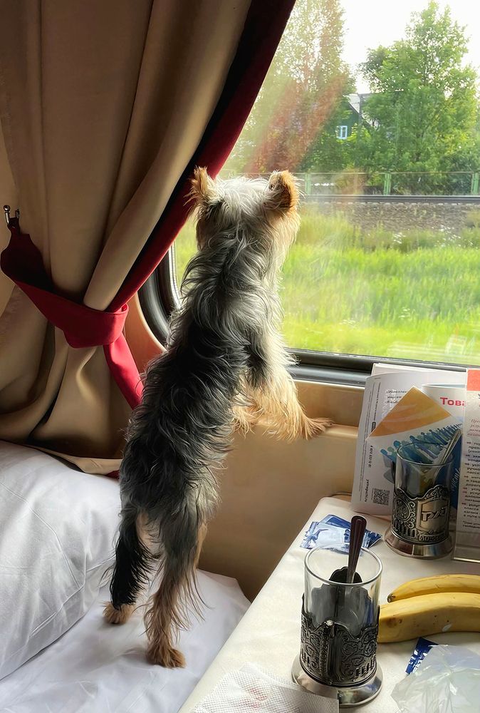 Photograph by Сергей Калинин