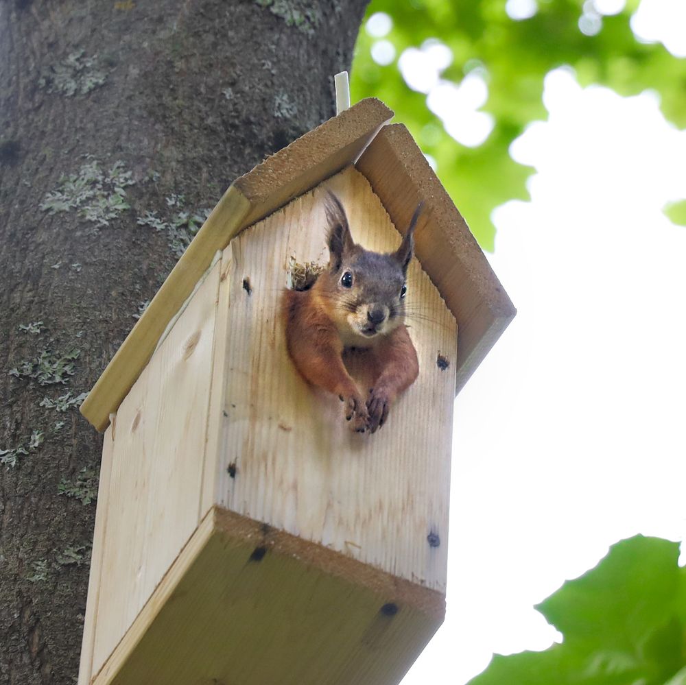 Photograph by Наталья Суслова