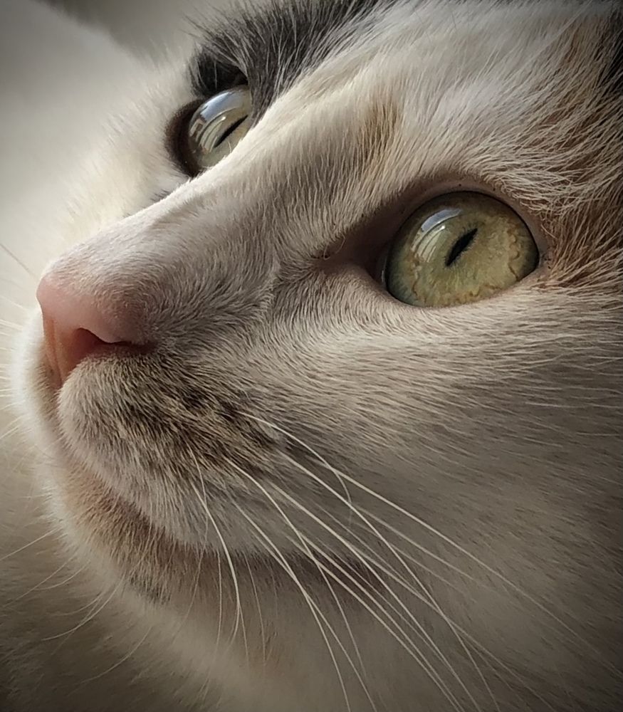 Мечты о лете