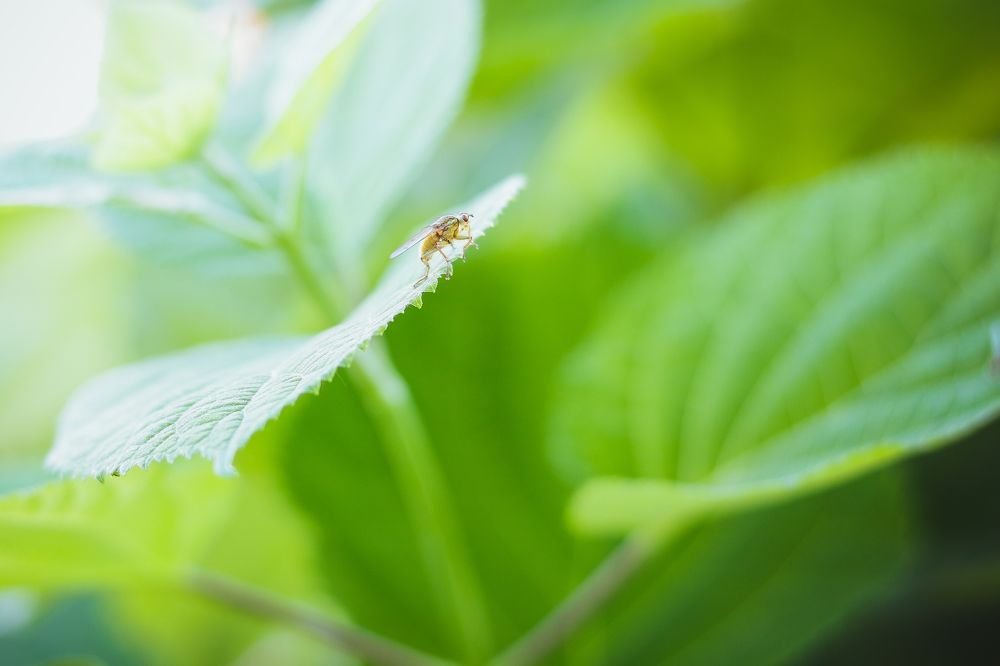 Photograph by Екатерина Михайлова