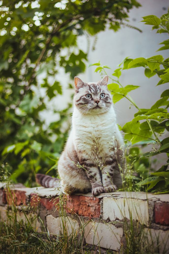 Photograph by Екатерина Михайлова